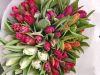 Foto: TPN/GPP. - Keine Schnittblume ist derzeit so populär wie die Tulpe. Vom Markt bis zum Discounter - es gibt kaum eine Verkaufsstelle, wo die Frühlingsblüher jetzt nicht erhältlich sind.