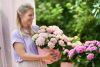 Foto: Magical Hydrangea. - Alle Hortensien aus dem Magical Hydrangea Sortiment verblüffen mit ihrer Farbgebung: Im Laufe ihrer sechsmonatigen Blüte wechseln sie mehrfach ihren Blütenton!