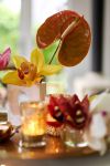 Foto: anthuriuminfo. - Sowohl Anthurien als auch Cymbidien-Orchideen bringen durch ihr extravagantes Aussehen einen Glamour-Faktor mit, der hervorragend zu den großen Festen des Jahres passt.