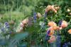 Foto: BGL. - Blühende Rosen, duftender Lavendel ... romantische Gärten laden zum Träumen und Entspannen ein.