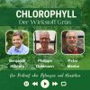 Foto: GPP. - &quot;Irrweg der Gartenkultur&quot; ist der Titel dieser Podcast-Folge. Es geht um das Aus für Schotterwüsten in NRW und eine durchdachte Vorgartengestaltung. 